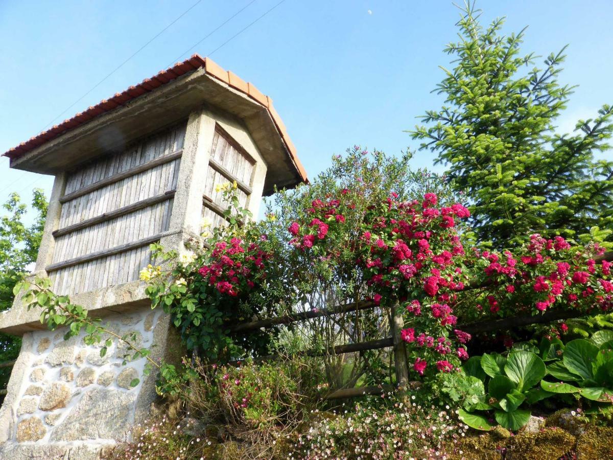 Casa Da Eira Velha Villa Vale de Cambra Exterior foto